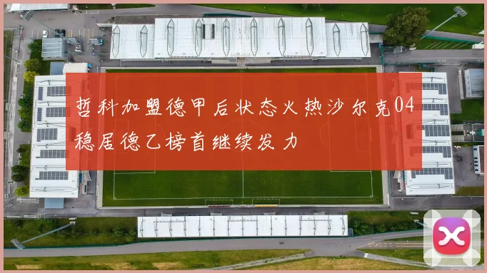 哲科加盟德甲后状态火热沙尔克04稳居德乙榜首继续发力