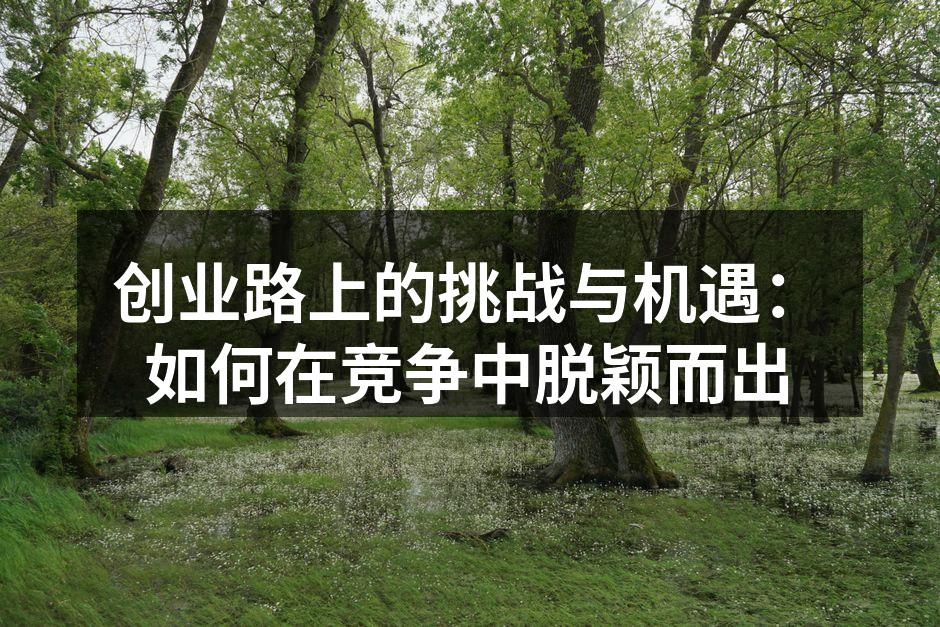 创业路上的挑战与机遇：如何在竞争中脱颖而出