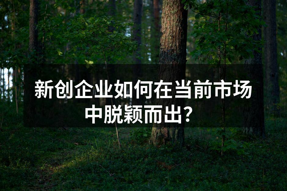 新创企业如何在当前市场中脱颖而出？