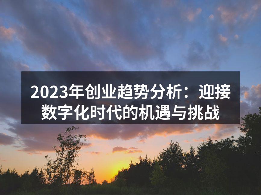2023年创业趋势分析：迎接数字化时代的机遇与挑战